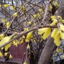 사선대농장 이미지