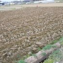 부발목장 이미지