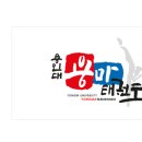 용인대 태권업 태권도장 이미지