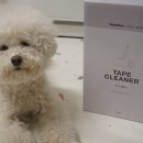 고로고로펫 이미지