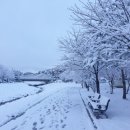 오금상촌공원 화장실 | 오금상촌공원 산책로 첫눈 풍경