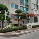 율전세계로약국 이미지