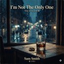 샘 스미스 I'm Not The Only One 한글 발음 가사 | 2014년 감동 팝발라드 따라부르기