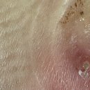 동인외과병원 이미지