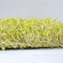 전주거꾸로콩나물국밥 이미지