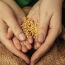 우리 아이 건강 간식 만들기 이미지