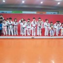 용인대힘찬태권도 이미지