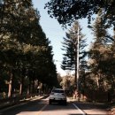 광릉 가마골 이미지