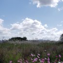 미사강변곤드레밥집 이미지