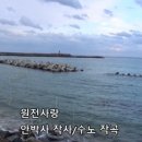 원전사 - 경주시 금성로372번길 34 | 원전사