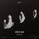 씨티팝