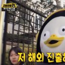 -뉴스핌- EBS 펭귄 연습생 펭수, 콘텐츠 한류 몰고올까 이미지