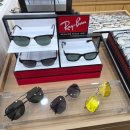 지니스안경원전북대 이미지