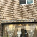 앞산강아지 이미지