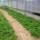 삼백한우뜰 이미지