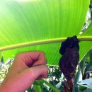 달팽이방갈로 이미지