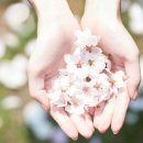 메모리즈 이미지