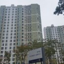 2025년 하반기 대전 서구 관저동 아파트 단지별 거래시장 분석 이미지