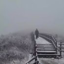 점순이호떡 이미지