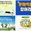 하브루타 문해력 이미지