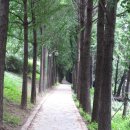 송정둑길 이미지