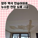 양주한승 | 양주 도배 시공 백석읍 한승아파트 누수되어 얼룩진 천장 도배 시공