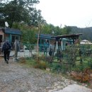 최창순 농장 이미지