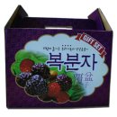 17년 토종 복분자 생과 , 복분자즙 판매합니다 이미지