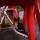 호랭이네대패삼겹살 | 리버풀 팬의 바르샤 경기 관람 후기