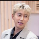 올해 저의 집에 제비가 왔어요 이미지