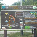 방동상회 | ★인제 진동리& 방태산 아침가리 트레킹 다녀온 양양아지매★