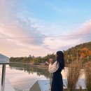 고사리맨션 이미지