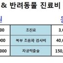 데일리동물병원 이미지