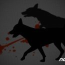 전치 앞(1) 이미지