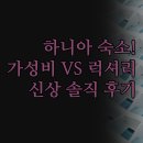 쉼 호스텔 | 스타일에 맞는 곳은 어디 | 가성비 최고 코쿤 호스텔 | 럭셔리 올인클 스파 리조트 비교 | 이안나...