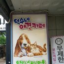 덕수네 애견 | 서면 덕수네 애견카페 아이들이랑 가기 좋네요