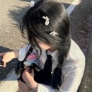 수원팔색길 여우길 | 수원팔색길 중 '여우길', 광교산 벚꽃길