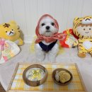 댕고밥상 | 잼잼이 명절준비는? 강아지 명절준비는 댕고밥상에서 🐶❤️