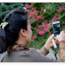 도산안창호기념관 이미지