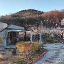 충주 감성숙소 찾는다면 여기,쉼🌿 봄 힐링 제대로 하고 온 후기