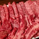 어라연송어횟집 이미지