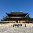 11월13일(목)아침건강걷기/고궁의 단풍.은행나무!!.창덕궁후원예약(?).창경궁.종묘트레킹 이미지