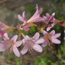 경기둘레길 양평29코스 이미지