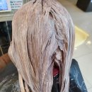 (주)비블루 이미지