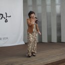 양희선