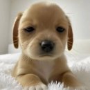 월드종합상사 | 미래에셋 TAMS 글로벌 금융인 양성과정 14기 서류/면접/활동 후기