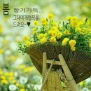 파주 마장 호수 출렁다리ㅡ명산의ㅡ현수교 (출렁다리)ㅡ우리나라ㅡ출렁다리ㅡ몇개인가 ㅡ알아봅시다ㅡ 이미지