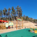 유아숲체험원(1) 이미지