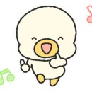 킹콩샤워 용인점 이미지