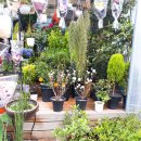 이동꽃마을 이미지